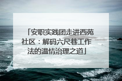安职实践团走进西苑社区：解码六尺巷工作法的温情治理之道