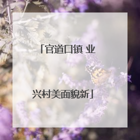 官道口镇 业兴村美面貌新