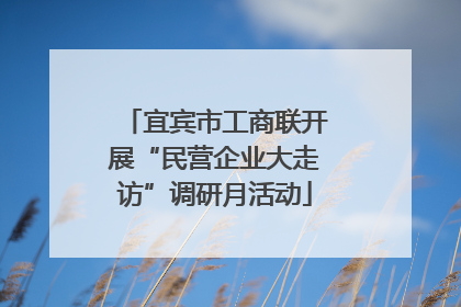 宜宾市工商联开展“民营企业大走访”调研月活动