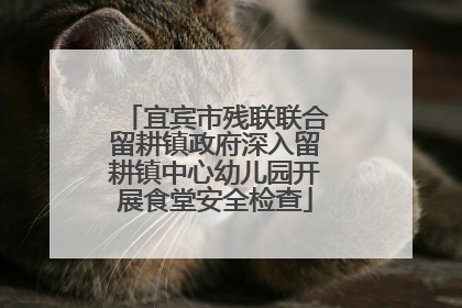 宜宾市残联联合留耕镇政府深入留耕镇中心幼儿园开展食堂安全检查