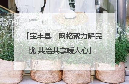 宝丰县：网格聚力解民忧 共治共享暖人心