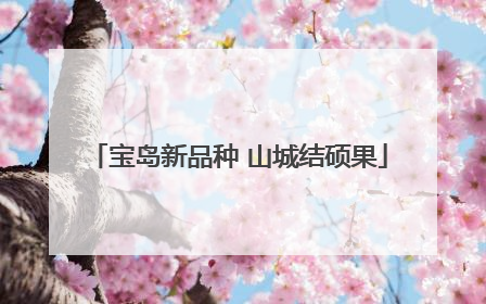 宝岛新品种 山城结硕果