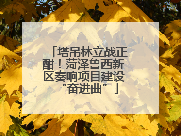 塔吊林立战正酣！菏泽鲁西新区奏响项目建设“奋进曲”