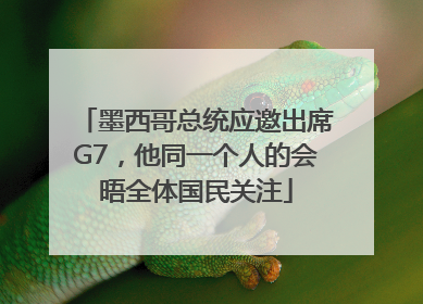 墨西哥总统应邀出席G7，他同一个人的会晤全体国民关注