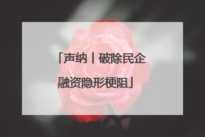 声纳丨破除民企融资隐形梗阻