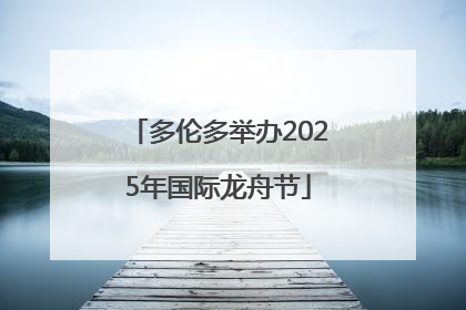 多伦多举办2025年国际龙舟节