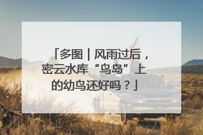 多图｜风雨过后，密云水库“鸟岛”上的幼鸟还好吗？