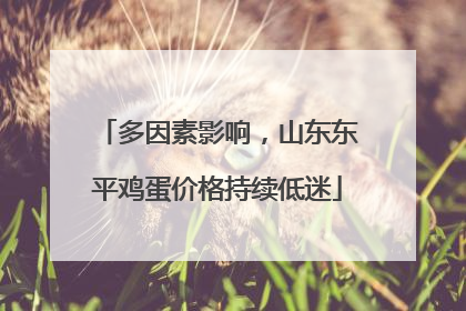 多因素影响，山东东平鸡蛋价格持续低迷