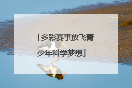 多彩赛事放飞青少年科学梦想