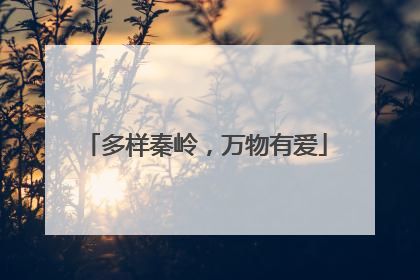 多样秦岭，万物有爱