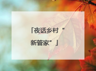 夜话乡村“新管家”