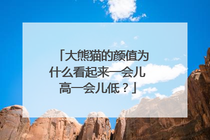 大熊猫的颜值为什么看起来一会儿高一会儿低？