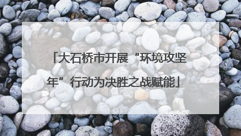 大石桥市开展“环境攻坚年”行动为决胜之战赋能
