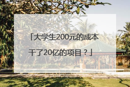大学生200元的成本干了20亿的项目？