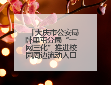 大庆市公安局卧里屯分局“一网三化”推进校园周边流动人口管理服务
