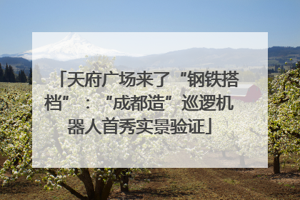 天府广场来了“钢铁搭档”：“成都造”巡逻机器人首秀实景验证