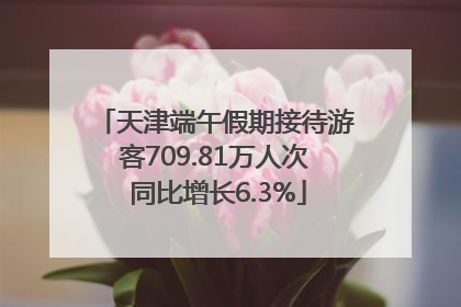 天津端午假期接待游客709.81万人次 同比增长6.3%