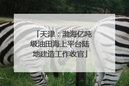 天津：渤海亿吨级油田海上平台陆地建造工作收官