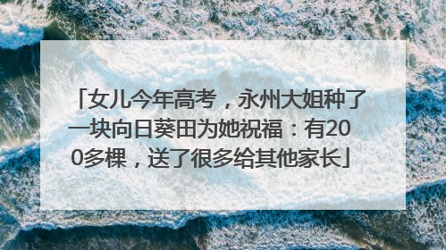 女儿今年高考，永州大姐种了一块向日葵田为她祝福：有200多棵，送了很多给其他家长