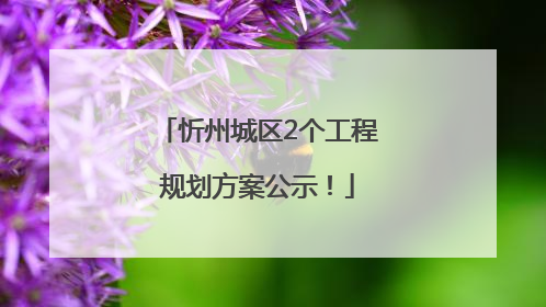 忻州城区2个工程规划方案公示！