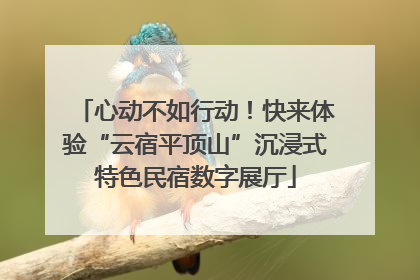 心动不如行动！快来体验“云宿平顶山”沉浸式特色民宿数字展厅