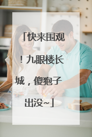 快来围观！九眼楼长城，傻狍子出没~