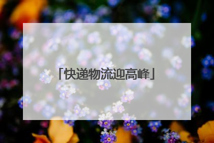 快递物流迎高峰