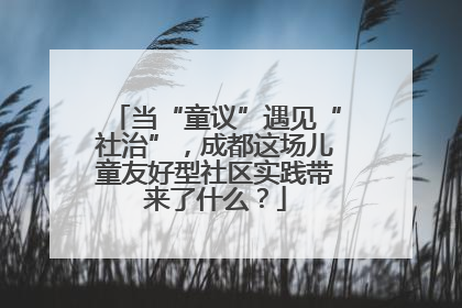 当“童议”遇见“社治”，成都这场儿童友好型社区实践带来了什么？