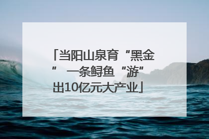 当阳山泉育“黑金” 一条鲟鱼“游”出10亿元大产业