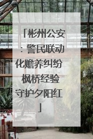 彬州公安：警民联动化赡养纠纷 枫桥经验守护夕阳红