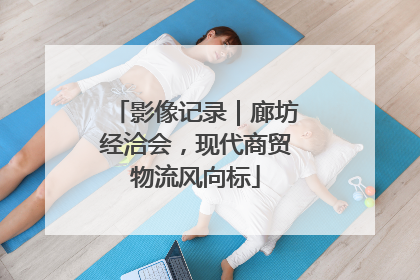 影像记录｜廊坊经洽会，现代商贸物流风向标