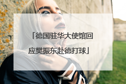 德国驻华大使馆回应樊振东赴德打球