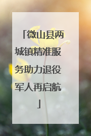 微山县两城镇精准服务助力退役军人再启航