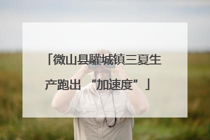 微山县驩城镇三夏生产跑出 “加速度”