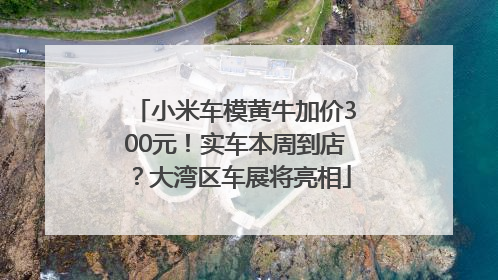 小米车模黄牛加价300元！实车本周到店？大湾区车展将亮相