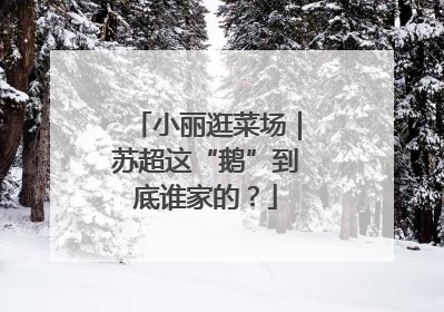 小丽逛菜场｜苏超这“鹅”到底谁家的？