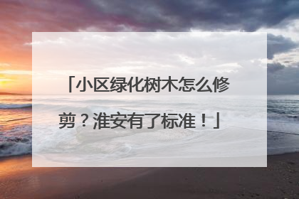 小区绿化树木怎么修剪？淮安有了标准！