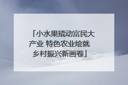 小水果撬动富民大产业 特色农业绘就乡村振兴新画卷