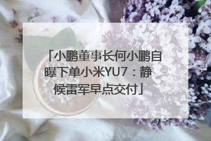 小鹏董事长何小鹏自曝下单小米YU7：静候雷军早点交付