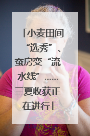 小麦田间“选秀”、蚕房变“流水线”……三夏收获正在进行