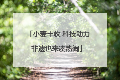 小麦丰收 科技助力 非遗也来凑热闹