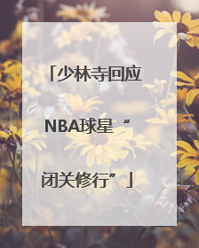 少林寺回应NBA球星“闭关修行”