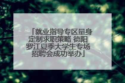 就业指导专区量身定制求职策略 德阳罗江夏季大学生专场招聘会成功举办