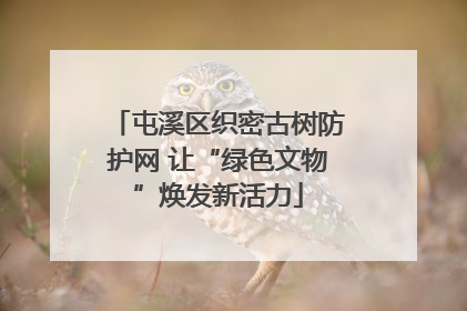 屯溪区织密古树防护网 让“绿色文物”焕发新活力