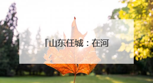 山东任城：在河道总督署遗址探寻京杭运河文化