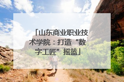 山东商业职业技术学院：打造“数字工匠”摇篮