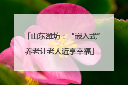 山东潍坊：“嵌入式”养老让老人近享幸福