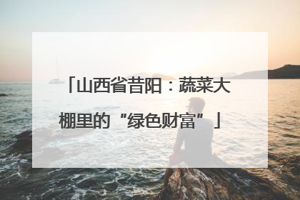 山西省昔阳：蔬菜大棚里的“绿色财富”