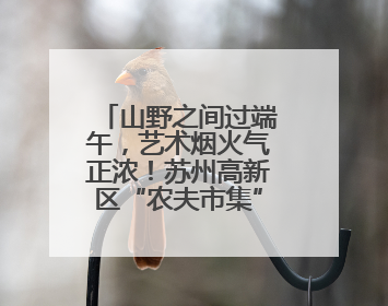 山野之间过端午，艺术烟火气正浓！苏州高新区“农夫市集”火热进行中