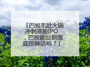 巴奴毛肚火锅冲刺港股IPO，巴奴能复刻海底捞神话吗？